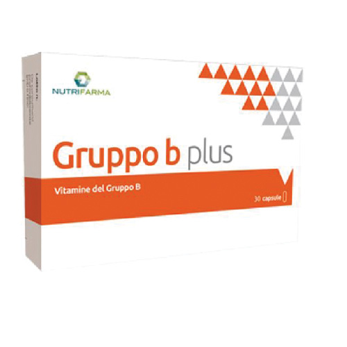 Foto GRUPPO B PLUS